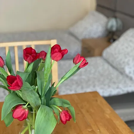 Wiosenna Pansiyon Kolobrzeg