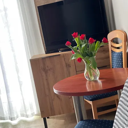Homestay Wiosenna P4