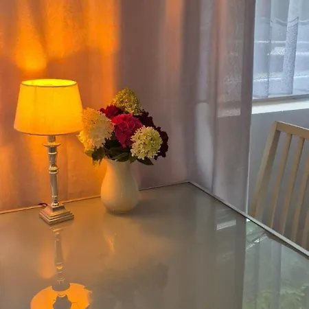 Wiosenna Homestay